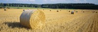 Bales of Hay Southern Germany Fine Art Print