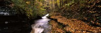 Buttermilk Creek, Ithaca, New York State, USA Fine Art Print