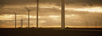 Wind turbines in a field, Amarillo, Texas, USA Fine Art Print