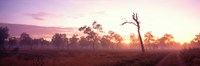 Kakadu National Park Northern Territory Australia Fine Art Print