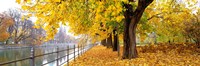 Autumn Scene Munich Germany Fine Art Print