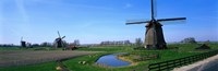 Windmills near Alkmaar Holland (Netherlands) Fine Art Print