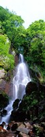 Waterfall Alsace France Fine Art Print