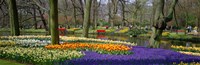 Keukenhof Garden Lisse The Netherlands Fine Art Print