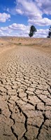Drought, Australia Fine Art Print