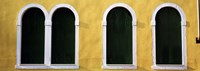 Windows in Yellow Wall Venice Italy Fine Art Print