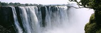 Waterfall in a forest, Victoria Falls, Zimbabwe, Africa Fine Art Print
