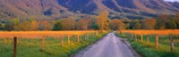 Road At Sundown, Cades Cove, Great Smoky Mountains National Park, Tennessee, USA by Panoramic Images - 36" x 12"