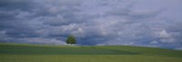 Storm clouds over a field, Zurich Canton, Switzerland Fine Art Print