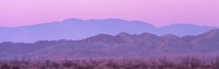 Desert At Sunrise, Anza Borrego California, USA Fine Art Print