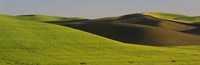 Wheat Field On A Landscape, Whitman County, Washington State, USA Fine Art Print