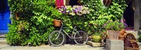 Bicycle In Front Of Wall Covered With Plants And Flowers, Rochefort En Terre, France by Panoramic Images - 36" x 12"