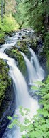 Sol Duc Falls Olympic National Park WA Fine Art Print
