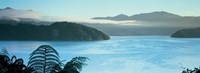 Kenepuru, Marlborough Sound, New Zealand Fine Art Print