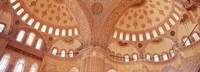 Interior, Blue Mosque, Istanbul, Turkey by Panoramic Images - 36" x 12"