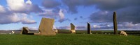 Sheep, Stones Of Stenness, Orkney Islands, Scotland, United Kingdom Fine Art Print