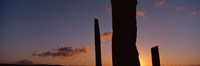 Stones Of Stenness at Dusk Fine Art Print