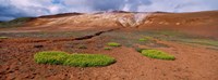 Steam Emitting From The Ground, Lehmjukur Thermal Area, Iceland Fine Art Print