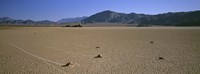 Panoramic View Of An Arid Landscape, Death Valley National Park, Nevada, California, USA by Panoramic Images - 36" x 12"