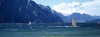 Windsurfing on a lake, Lake Garda, Italy Fine Art Print