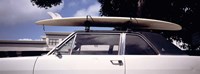 California, Surf board on roof of car Fine Art Print