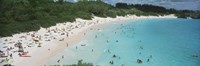 Aerial view of tourists on the beach, Horseshoe Bay, Bermuda Fine Art Print