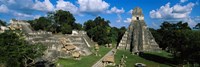 Ruins Of An Old Temple, Tikal, Guatemala Fine Art Print