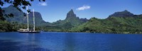 Sailboats Sailing In The Ocean, Opunohu Bay, Moorea, French Polynesia Fine Art Print