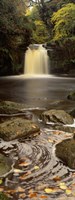 Waterfall In A Forest, Thomason Foss, Goathland, North Yorkshire, England, United Kingdom Fine Art Print