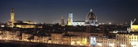 Buildings lit up at night, Florence, Tuscany, Italy Fine Art Print