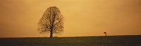 Man standing with an umbrella near a tree, Baden-Wuerttemberg, Germany Fine Art Print