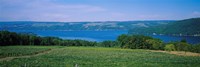 High angle view of a vineyard near a lake, Keuka Lake, Finger Lakes, New York State, USA Fine Art Print