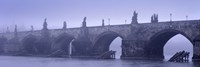 Bridge over a river, Charles Bridge, Prague, Czech Republic Fine Art Print