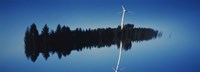 Reflection Of A Wind Turbine And Trees On Water, Black Forest, Germany Fine Art Print