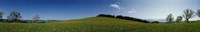 Panoramic view of a landscape, St. Peter, Lindenberg, Black Forest, Germany Fine Art Print