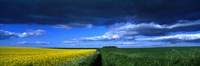 Clouds Over A Cultivated Field, Hunmanby, Yorkshire Wolds, England, United Kingdom Fine Art Print