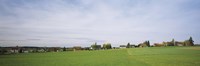 Houses on a landscape, Germany Fine Art Print