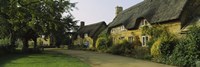 Cottage in a village, Hidcote Bartrim, Gloucestershire, England Fine Art Print