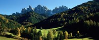 Trees on a landscape, Dolomites, Funes Valley, Le Odle, Santa Maddalena, Tyrol, Italy Fine Art Print