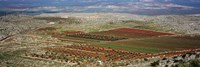 Panoramic view of a landscape, Aleppo, Syria by Panoramic Images - 36" x 12"
