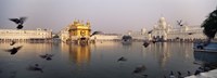 Reflection of a temple in a lake, Golden Temple, Amritsar, Punjab, India Fine Art Print