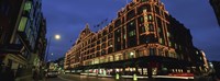 Low angle view of buildings lit up at night, Harrods, London, England Fine Art Print