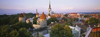 High angle view of a city, Tallinn, Estonia Fine Art Print