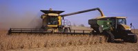 Combine harvesting soybeans in a field, Minnesota Fine Art Print