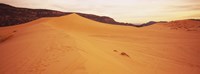 Sand dunes in a desert, Coral Pink Sand Dunes State Park, Utah, USA Fine Art Print