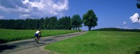 Rear view of a person riding a bicycle on the road, Black Forest, Germany by Panoramic Images - 36" x 12"