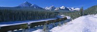 Train Traveling through Banff National Park by Panoramic Images - 36" x 12"