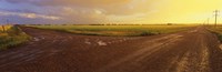 Country crossroads passing through a landscape, Edmonton, Alberta, Canada Fine Art Print