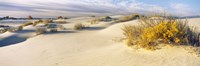White Sands National Monument, New Mexico Fine Art Print