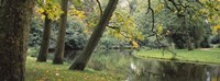 Trees near a pond in a park, Vondelpark, Amsterdam, Netherlands Fine Art Print